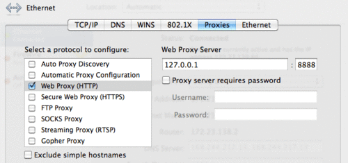 Web proxy settings